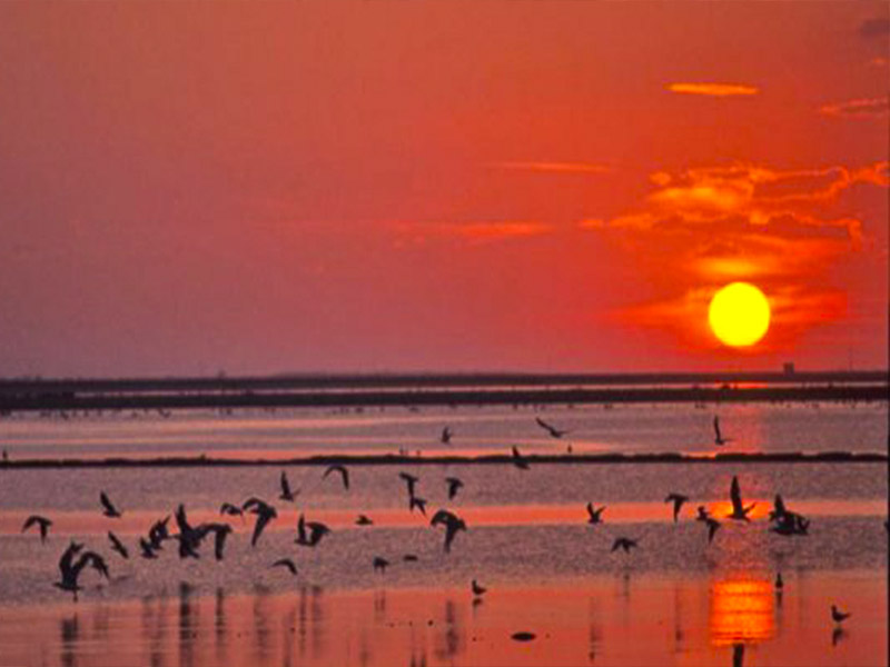 127. Margherita di Savoia - Le Saline